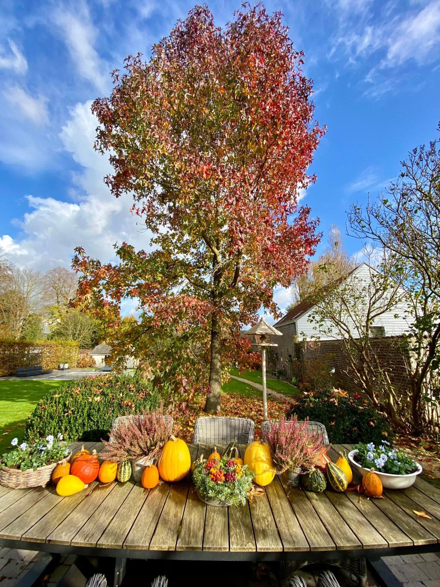 B&B Aline Florentine - Adults Only - Luxury B&B - Chambres D'Hotes - Zimmer Frei Kortenberg Eksteriør bilde
